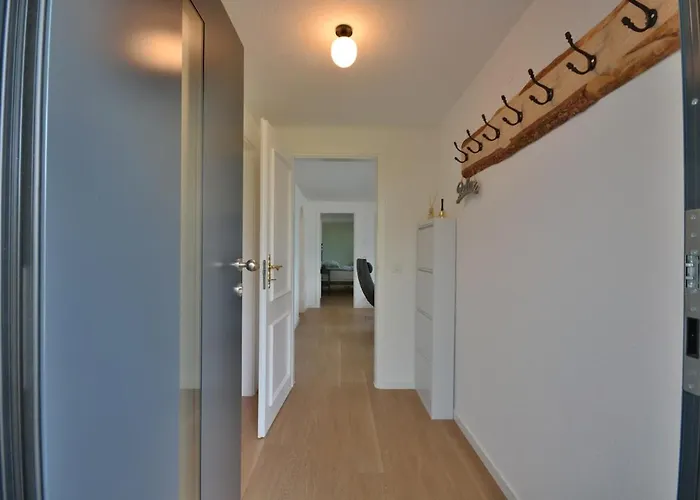 Miralago Maggiore Gambarogno